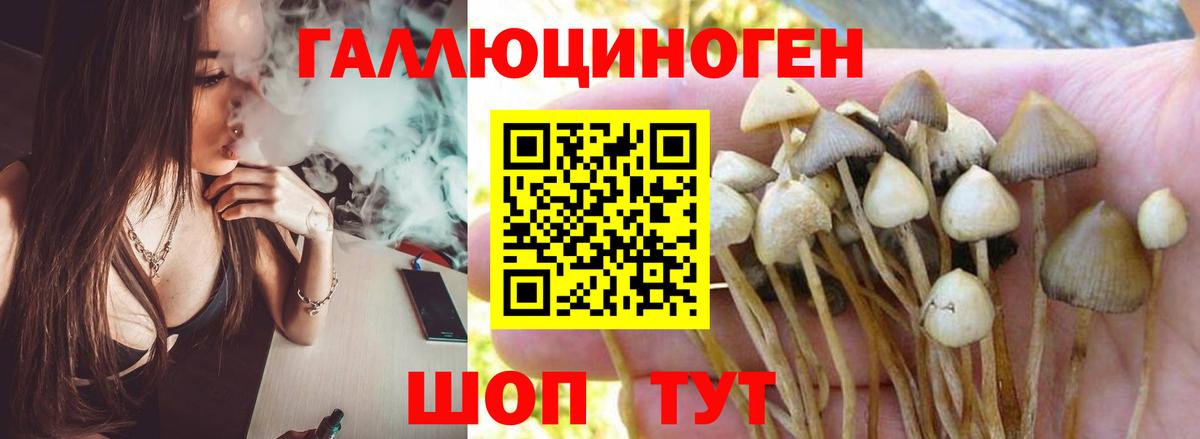 Гулькевичи  Псилоцибиновые грибы ЛСД  Псилоцибиновые грибы прущие грибы  Вход с VPN 